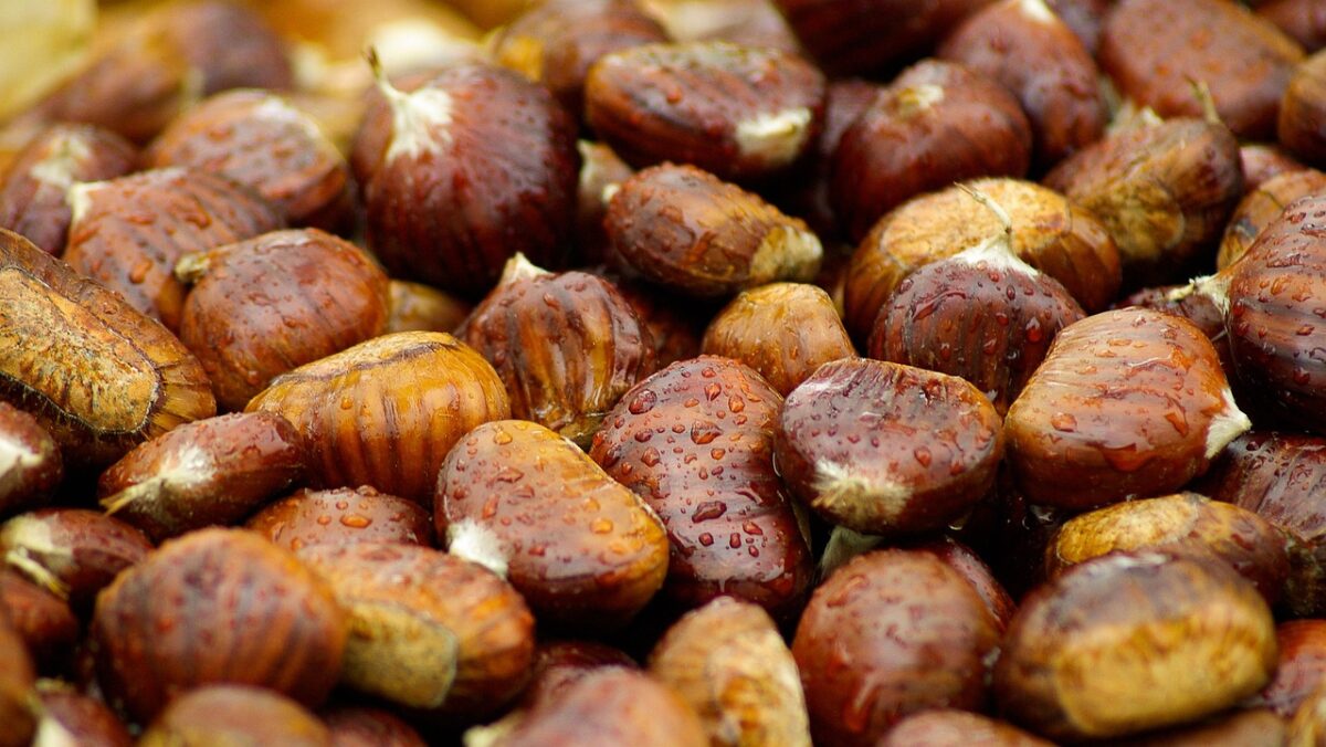 Castagne Castagne