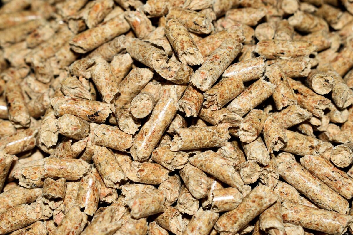 Pellet Pellet