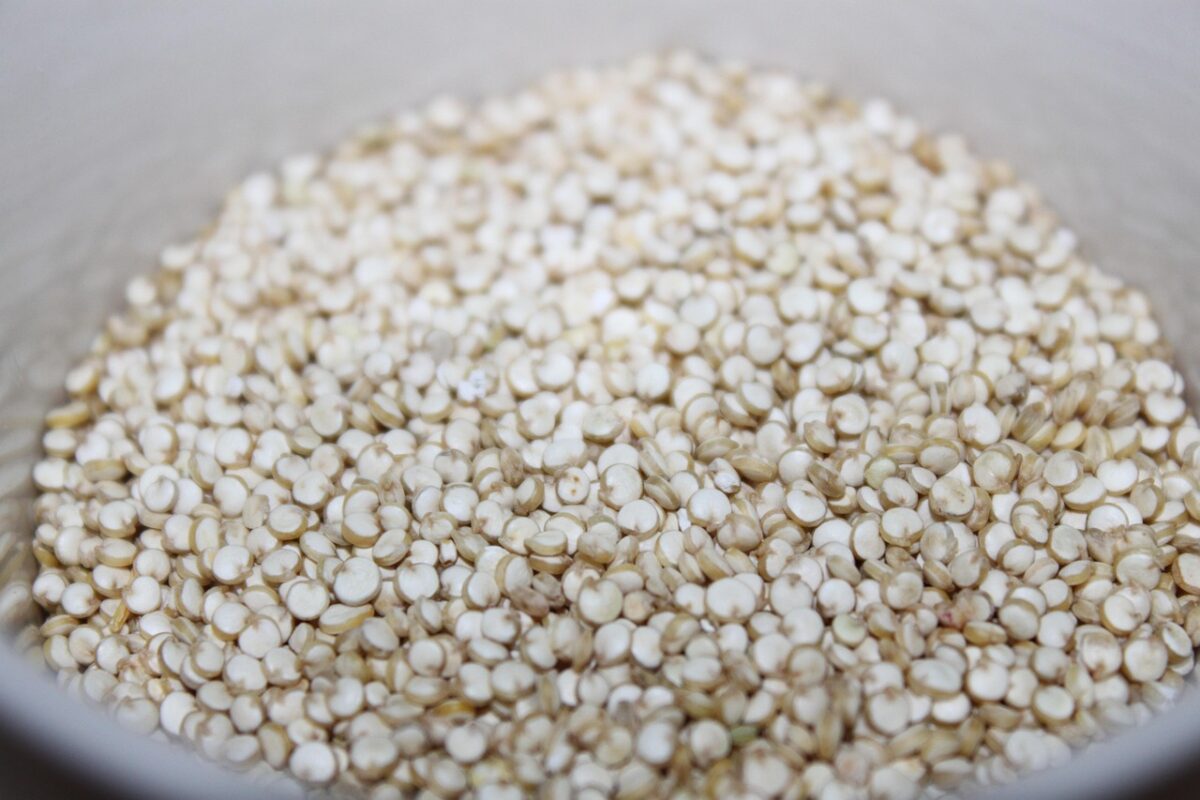 quinoa quinoa